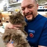 کلینیک دامپزشکی پارسا