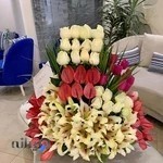 دکتر مریم خسرومهر - متخصص زنان و زایمان ، فلوشیپ نازایی