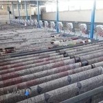 قالیشویی اندیشه من و تو