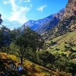 سالن اجتماعات کانون ایثار