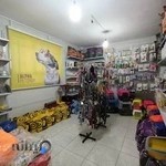 کلینیک دامپزشکی آلفا