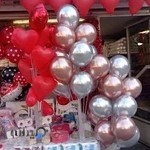 تم تولد پونک(پلاست لند)