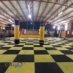 باشگاه ورزشی نام آوران کورش