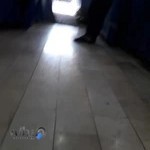 ایران.گل.خالقی