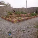 قالیشویی نقش جهان