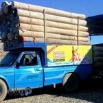 قالیشویی ماندگار قم
