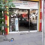 عکاسی شاهین