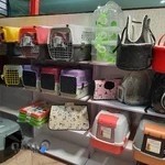 کلینیک دامپزشکی آبان