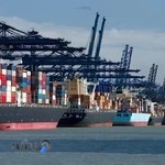 شرکت دنیازاد تجارت گیلان