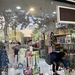 روشان رویان شریعتی