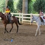 باشگاه تفریحی ورزشی شکوه طبیعت