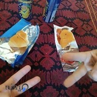 صرافی سادات حسینی