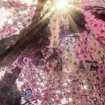 کلینیک پوست مو زیبایی دکتر غزال آقائی