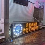 ّپت شاپ شهر 2