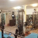 باشگاه ورزشی شیران