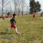 باشگاه سرخپوشان ساری