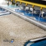 قالیشویی چالوس