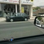 فروشگاه گلبهار