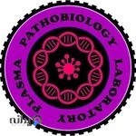 PlasmaLaboratoryKhoy