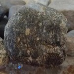 دکتر فاطمه مختاری