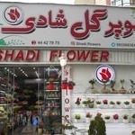 گل فروشی شادی
