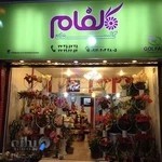 گلستان گلفام