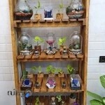 گلفروشی آنلاین رزفارست