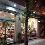 گل سفیر سبز