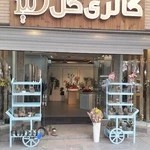 گالری گل دنیز