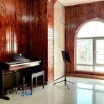 آکادمی موسیقی دانوش