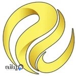 موسسه حسابداری راهبرد ارقام دانا (راد)