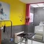 کلینیک دامپزشکی کارن