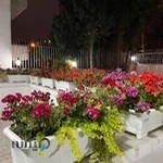 کلینیک دامپزشكي سفید