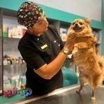 کلینیک دامپزشکی فلی وت