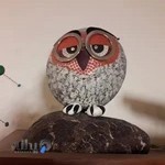 بیمارستان حیوانات خانگی دانشگاه آزاد کرج