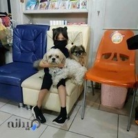 کلینیک دامپزشکی مهرداد