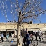 حسابداری مالیات