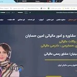 امین حسابان خدمات مشاور و امور مالیاتی