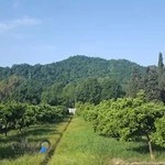 پژوهشکده مرکبات و میوه های نیمه گرمسیری