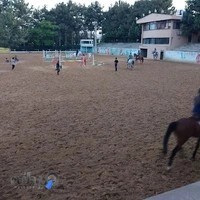 مجموعه سوارکاری و کارتینگ ارشاد