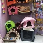 Part Veterinary Clinic کلینیک دامپزشکی پارت