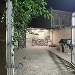 کلینیک پرندگان