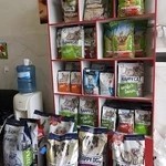 کلینیک دامپزشکی دی