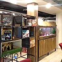 کافه بازی الینا