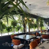 ته چین طوری