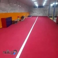 آکادمی ژیمناستیک تک ستاره هشتم