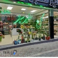 گل سفیر سبز