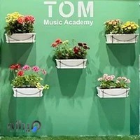 آموزشگاه موسیقی طم