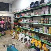 کلینیک و پت شاپ رویال پت