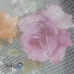 پوشاک بچه گانه شیک